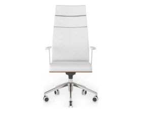 Кресло руководителя Алтея images