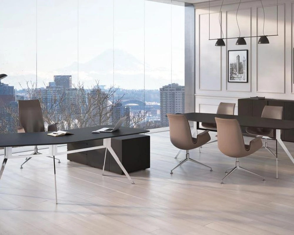 Кабинет руководителя Супер Джет / Super Jet