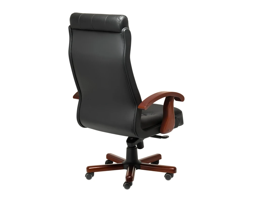 Кресло Darwin A