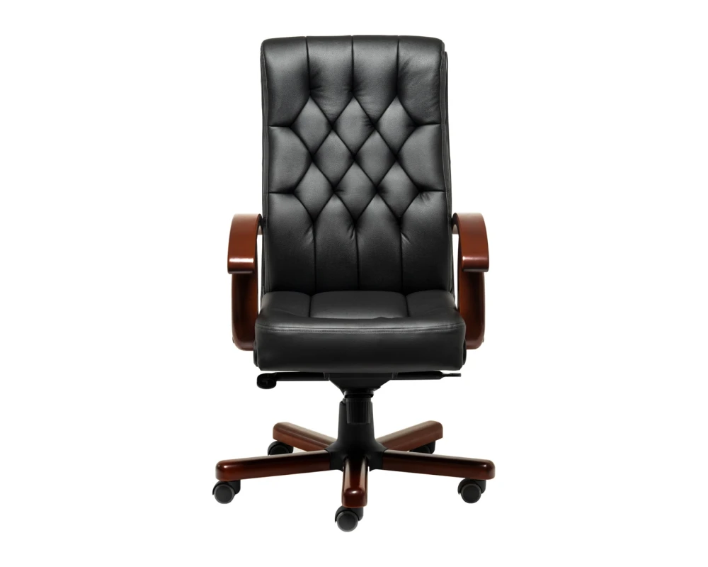 Кресло Darwin B