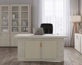 Кабинет руководителя Чикаго / Chicago images