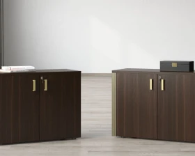 Кабинет руководителя Чикаго / Chicago images