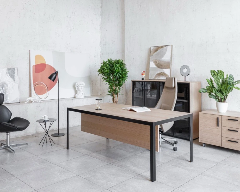 Кабинет руководителя Enzo