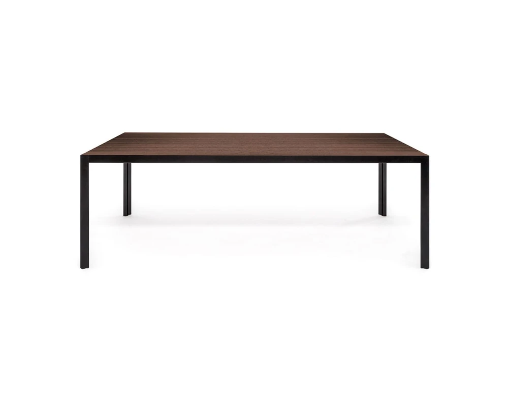 Стол письменный 200x100x75 Enzo Эвкалипт морен/Черный