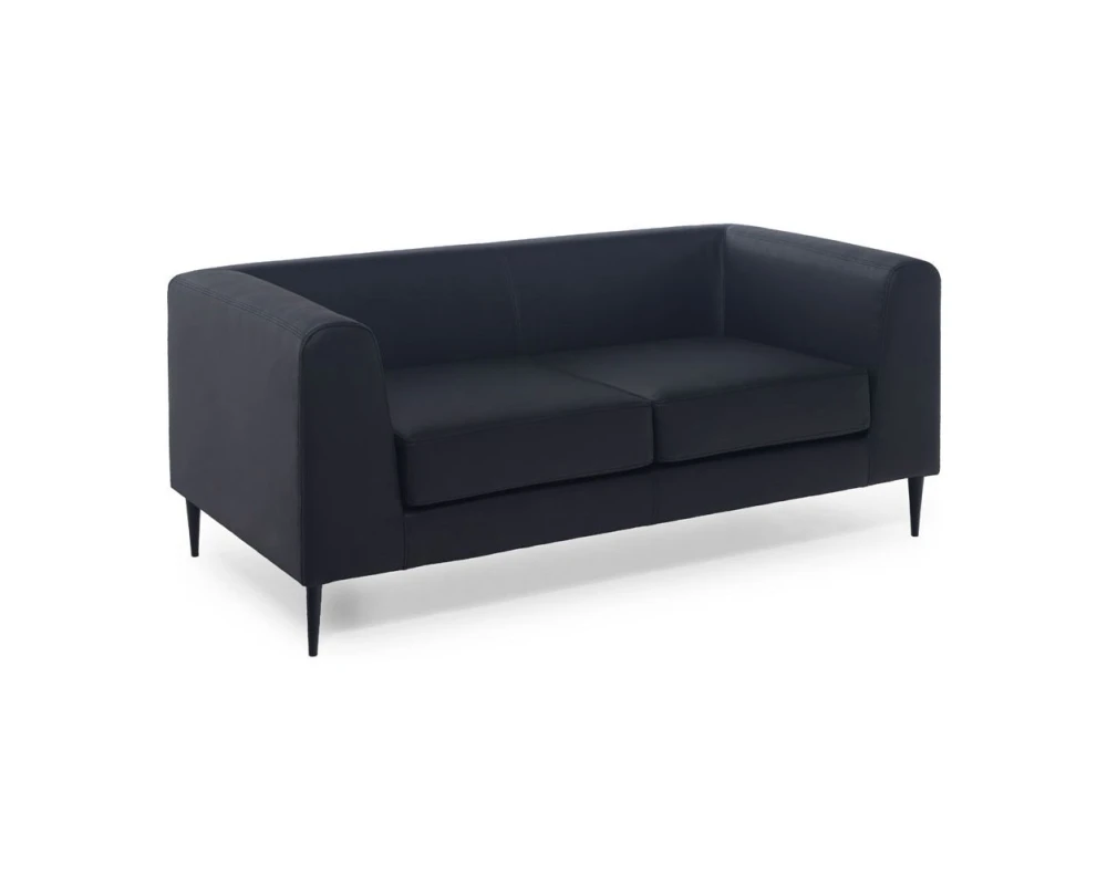 Диван 2-х местный Eva Up Кожа/Экокожа, Черный