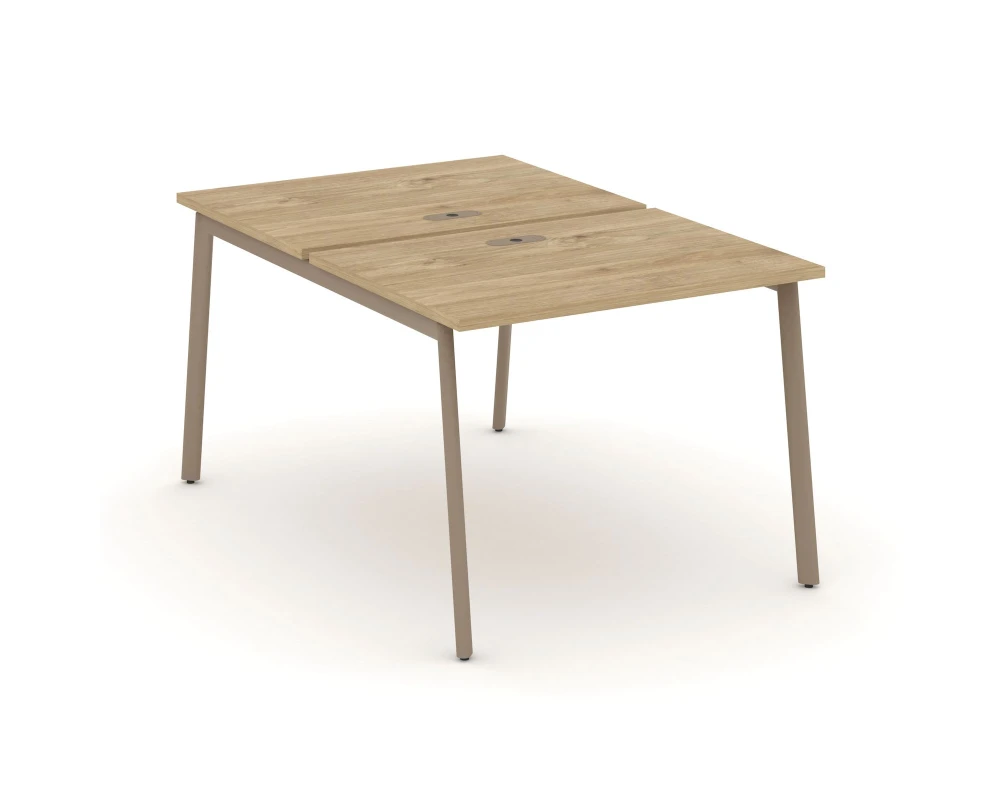 Рабочая станция на 2 места с лючком на плоскоовальной трубе 98x150x75 Эстетика / Estetica