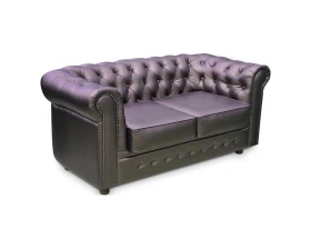 Диван 2-х местный Альфа Честер images