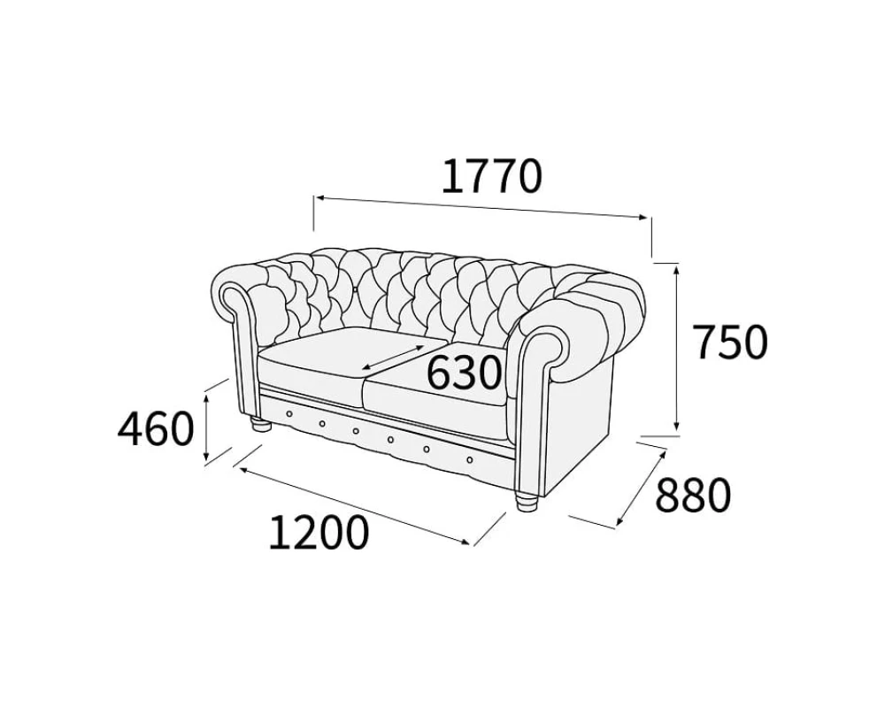 Диван 2-х местный Альфа Честер