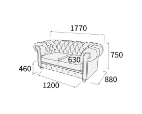 Диван 2-х местный Альфа Честер images