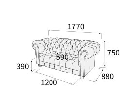 Диван 2-х местный Альфа Честертон images