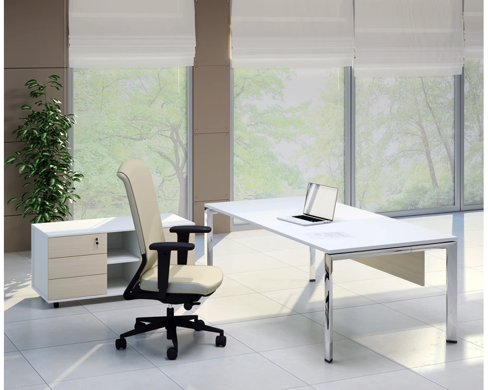 Кабинет руководителя Орбис / Orbis