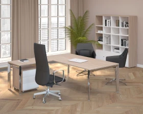 Кабинет руководителя Орбис / Orbis images