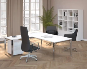 Кабинет руководителя Орбис / Orbis images