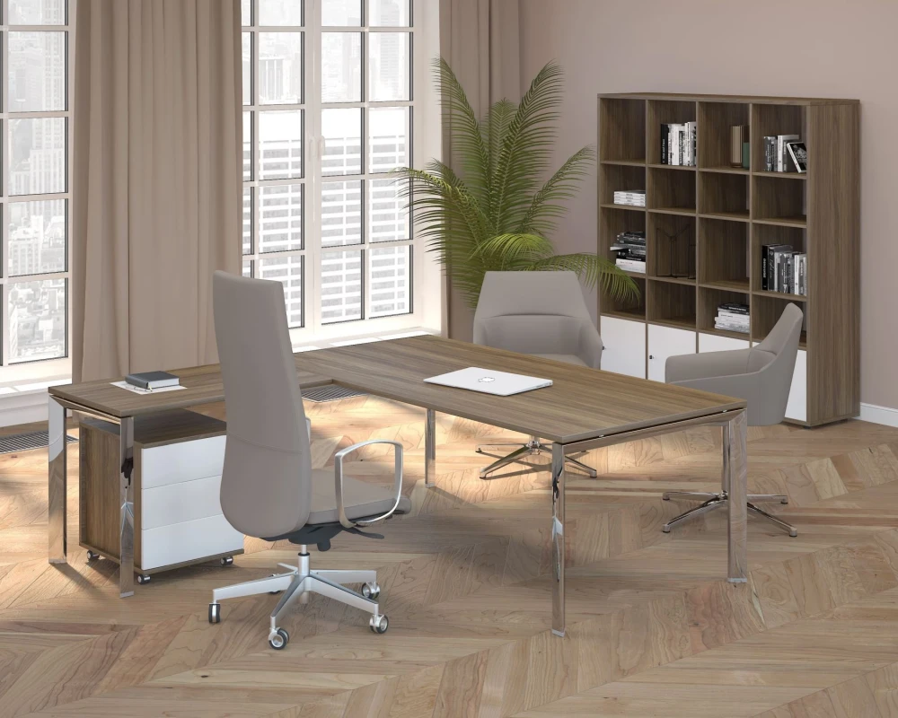 Кабинет руководителя Орбис / Orbis