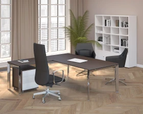 Кабинет руководителя Орбис / Orbis images