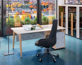 Кабинет руководителя Remo images