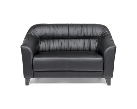 2-х местный диван Райт Вуд images