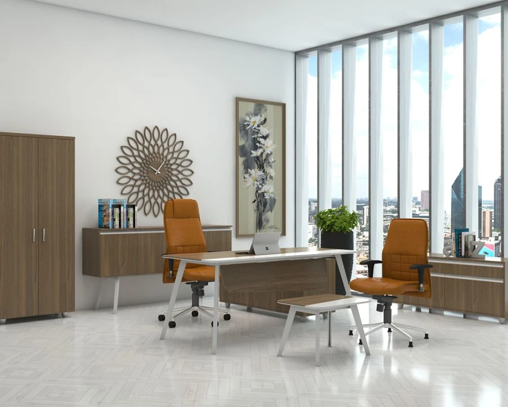 Кабинет руководителя Планета